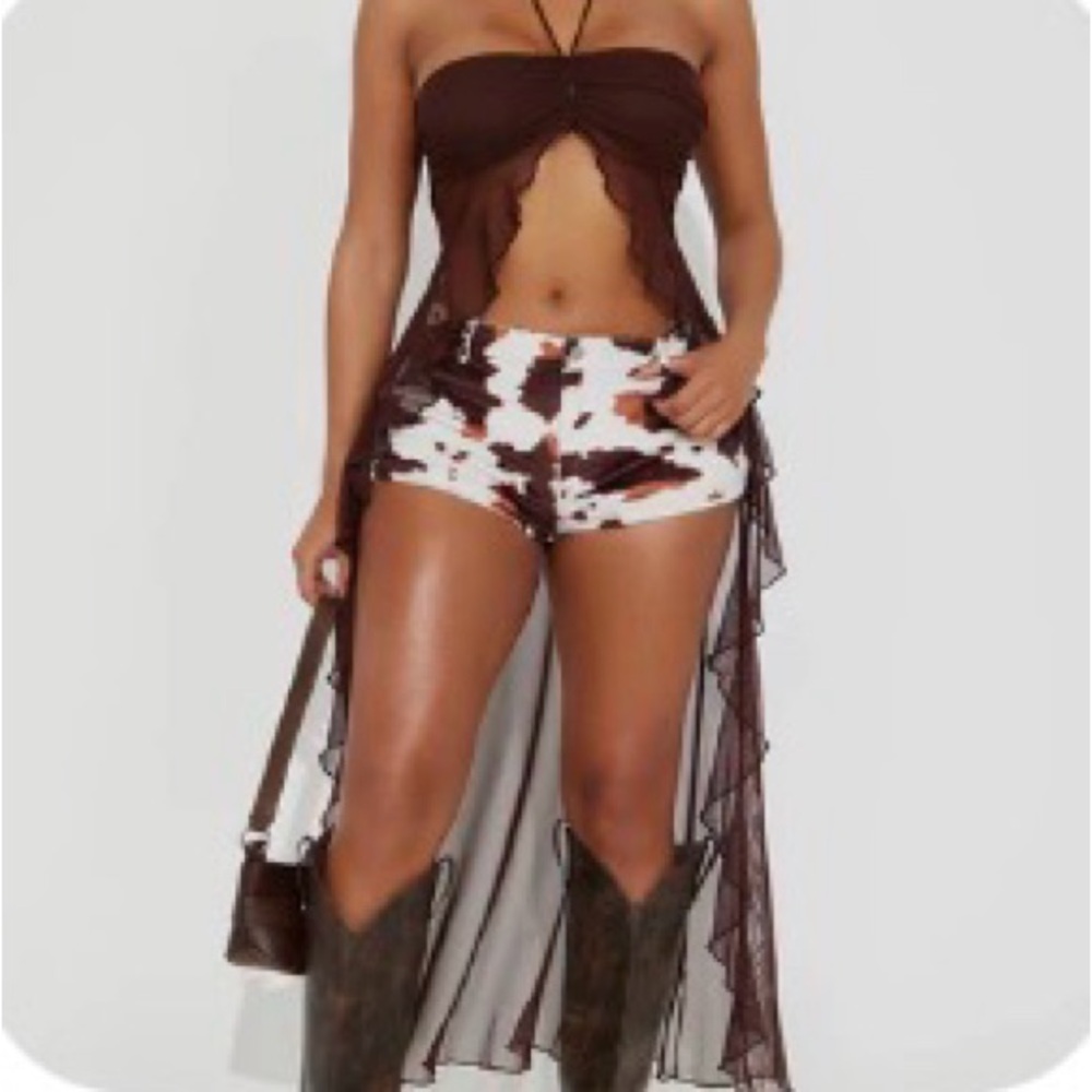 Fashion Nova Brown Mesh Festival Dress